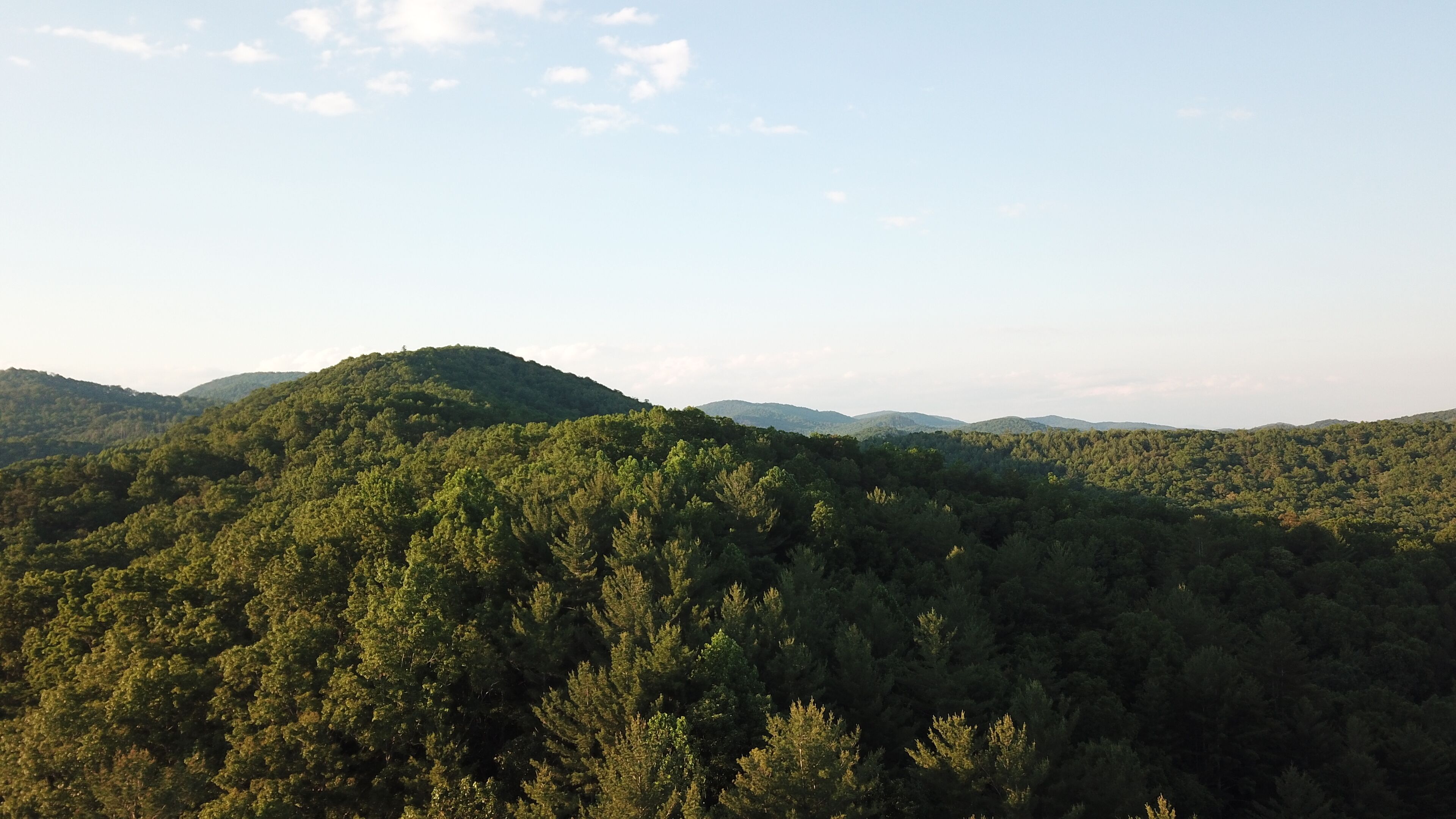 A forested mountain landscape with rolling hills and a clear sky.