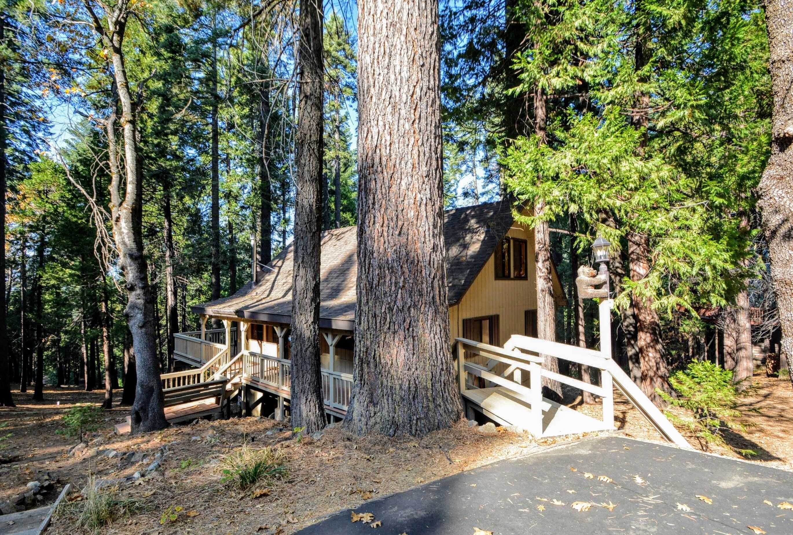 Un chalet doté d’une terrasse en bois, d’un porche abrité et d’un grand arbre en premier plan.