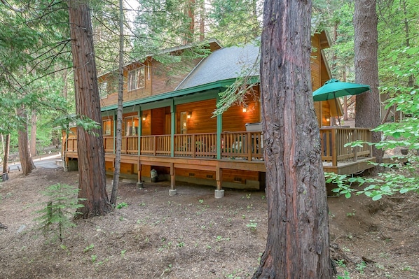 A cabin with a porch, surrounded by tall trees.