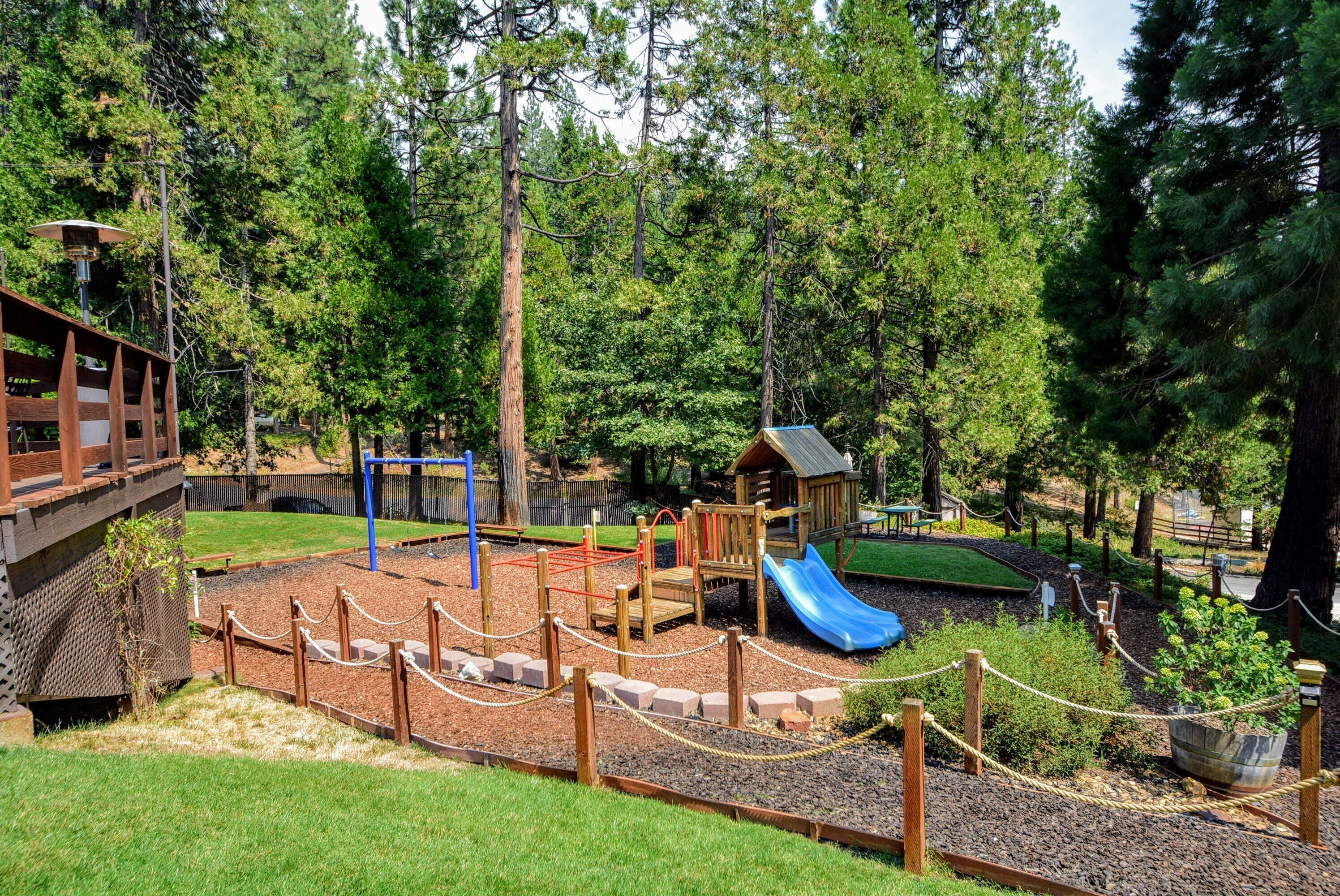 BLS Playground