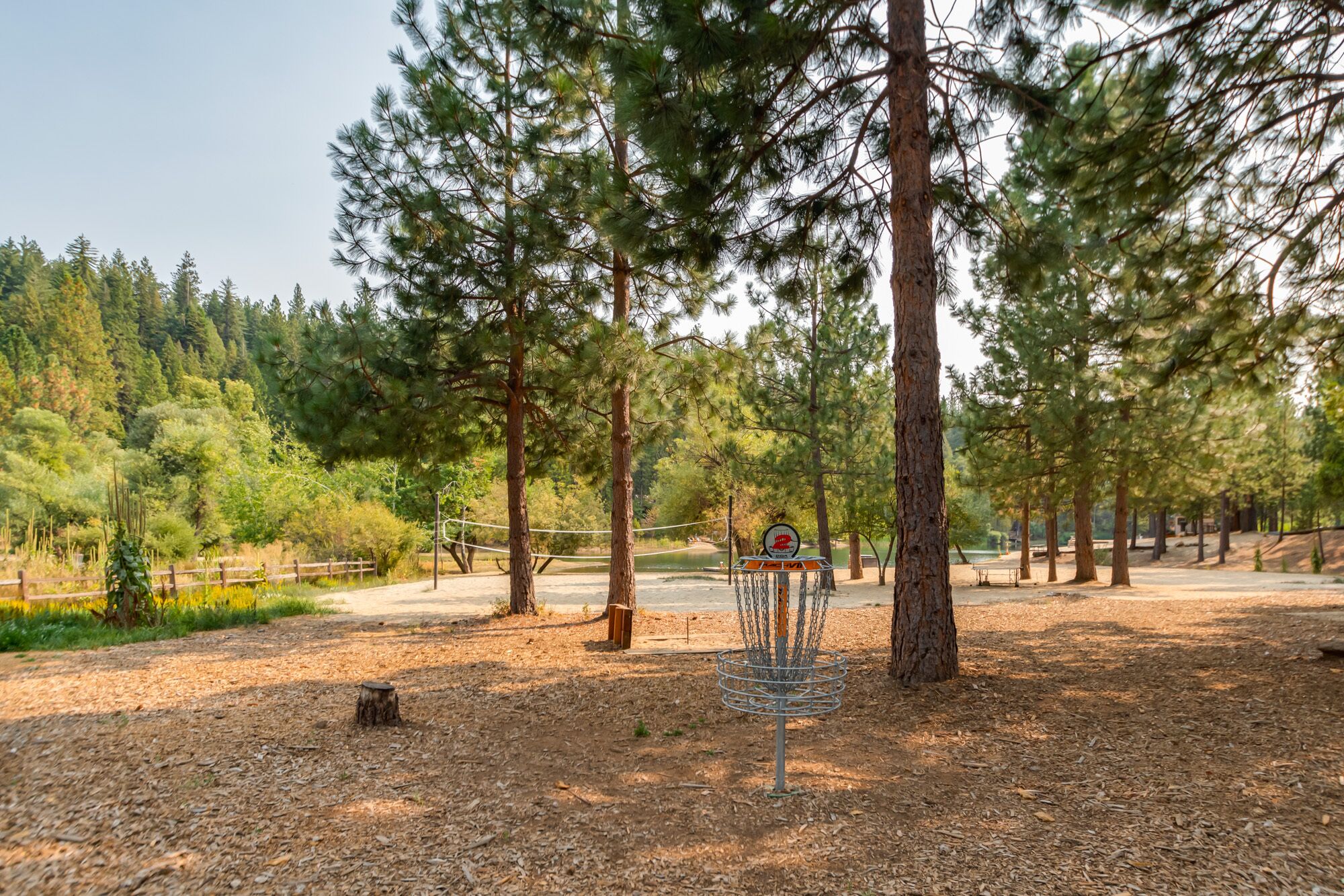 A disc golf course with trees and a clear sky.