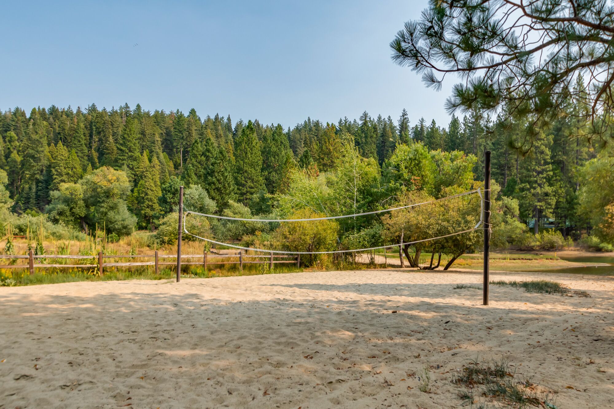 A sandy beach area with a volleyball net, surrounded by dense forest.