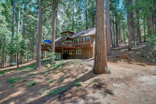 A cabin with a deck, surrounded by tall trees in a forest.