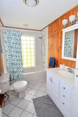 Bathroom - Fairview Farm - Modern Farmhouse (Berkeley Springs)