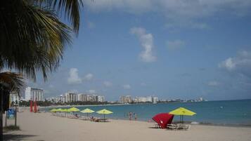 A beach with umbrellas and beach chairs, a palm tree, and a city skyline in the background.