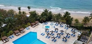 Pool - Mare 1562 (Carolina)