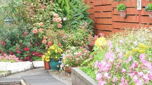 A garden with various flowers and plants, a wooden fence, and a paved walkway. - A perfect coastal escape for couples and friends. (Ballantrae)