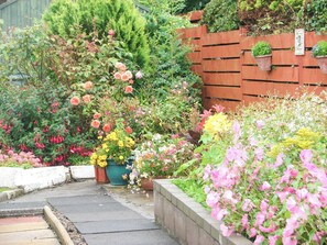 Terrain de l’hébergement 