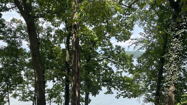 A lakeside seating area with Adirondack chairs and a wood-burning stove. - Weiss Lake Rustic Cabin on the water, new flooring! (Centre)