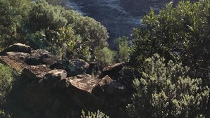 A coastal landscape with rocky terrain, dense greenery, and a clear sky. - Pousada Aurora (Urubici)