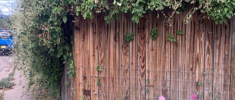A wooden fence with climbing plants and a variety of flowers in front.
