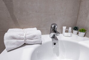 Shower, hair dryer, bidet, towels