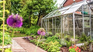 A greenhouse with a clear roof, surrounded by various plants and flowers. - 5 bedroom accommodation in Chilcompton (Chilcompton)