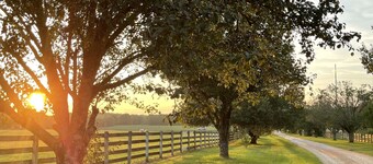 Easy drive to Covington square. Safe gated property.