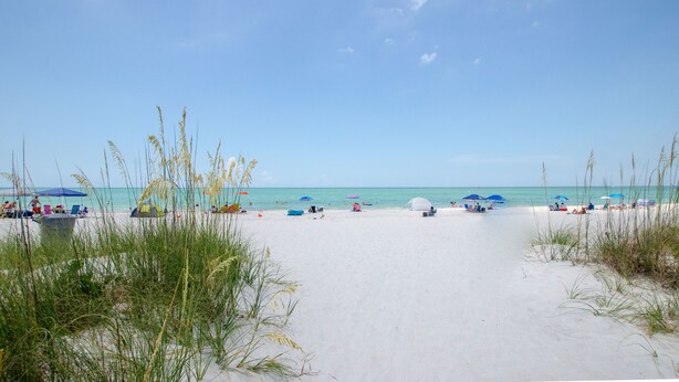 A beach with white sand, clear blue water, and sparse vegetation.