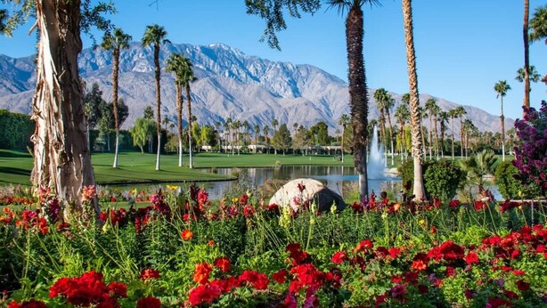 A golf course with a mountain backdrop, palm trees, and a pond with flowers. - Private Large Modern Villa with Pool/Spa/Slide (Cathedral City)