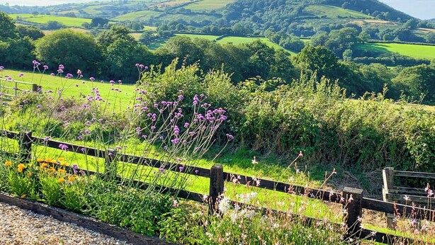 A rural landscape with rolling hills, a wooden fence, and various wildflowers. - A charming countryside cottage break. (Cwmdu, Near Llandeilo)