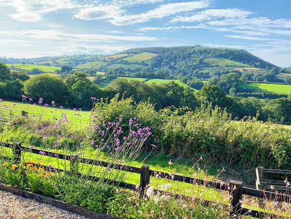 Property grounds - A charming countryside cottage break. (Cwmdu, Near Llandeilo)