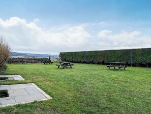 A grassy outdoor area with picnic tables and a stone wall.