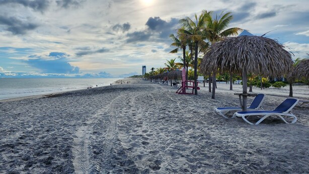 A beach with thatched umbrellas, palm trees, and lounge chairs.