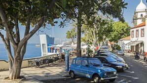Un estacionamiento con un coche azul, árboles y vista al mar.