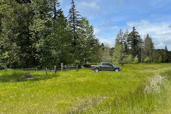 View from entryway to property