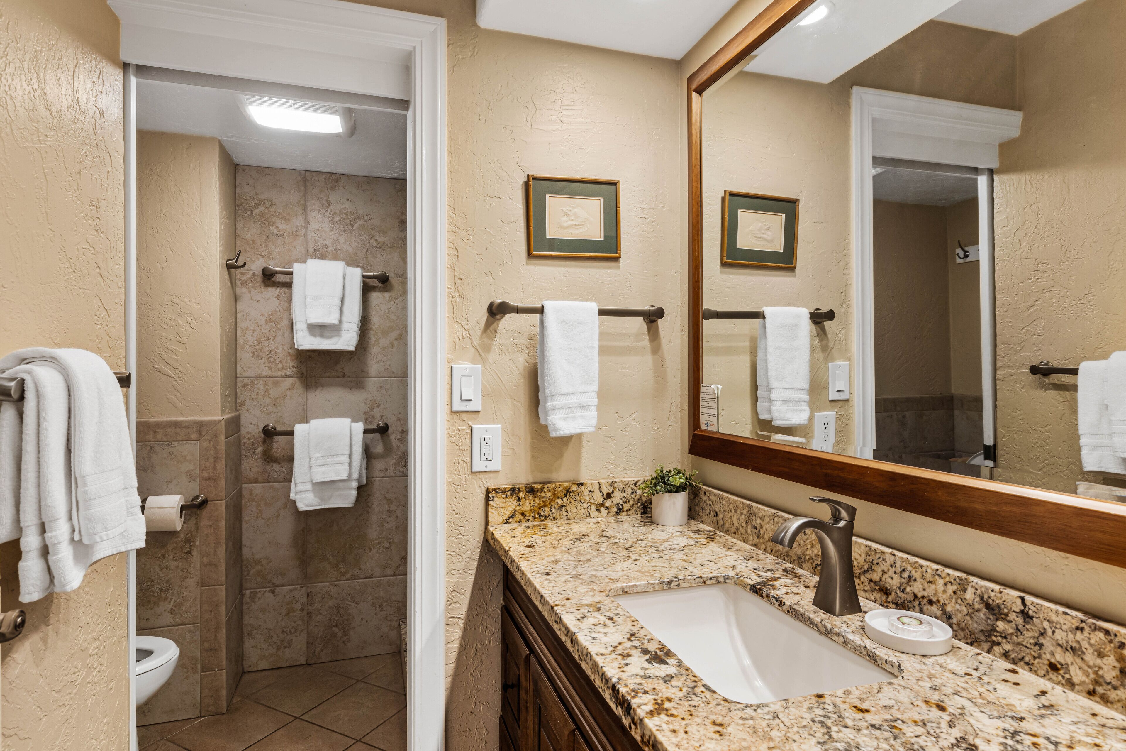 Shower, hair dryer, towels, shampoo