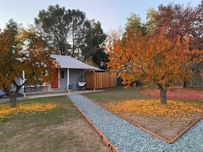 Property grounds - Gorgeous, modern and sweet (Orangevale)