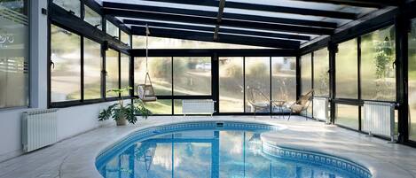 Piscina interna com cobertura de vidro, uma cadeira e um vaso de planta.