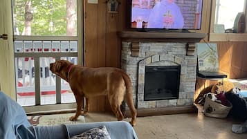 Smart TV, fireplace, books, stereo