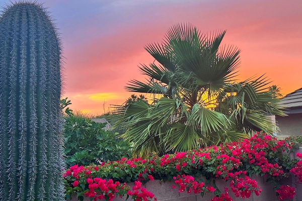 Terrain de l’hébergement