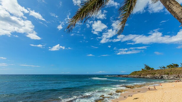 Une plage avec une eau d’un bleu limpide, un rivage rocheux et des palmiers.