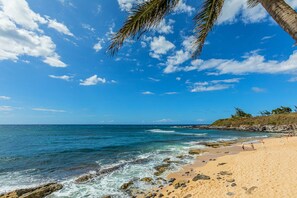 Playa en los alrededores 