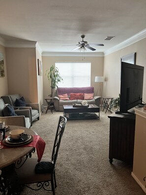 TV, DVD player, video library - Cozy, Cool & Central location to the Galleria and NRG stadium (Houston)