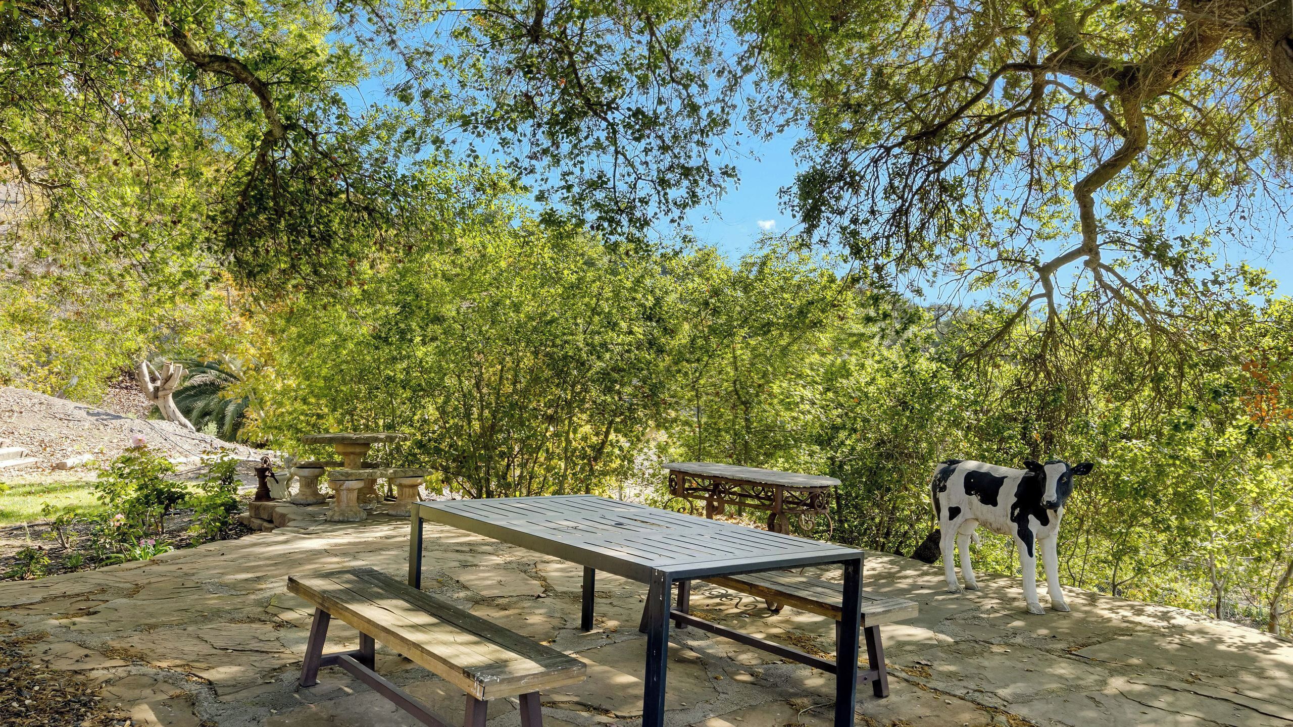 Ein Picknickplatz mit Tisch und Bänken, umgeben von Bäumen.