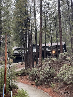 Property grounds - Luxury Cabin in the mountains- 5 min to fishing, swimming, hiking, and Big Trees (Arnold)