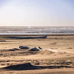 位於海灘上、白沙、獨木舟