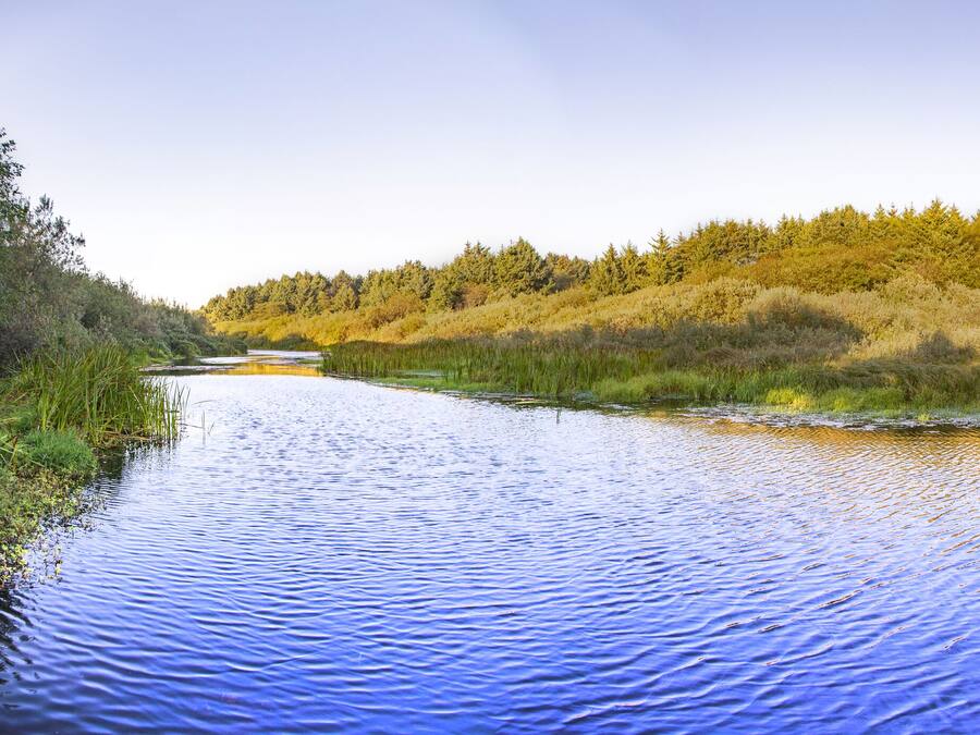 A calm river with a wooden bridge and dense forest in the background.