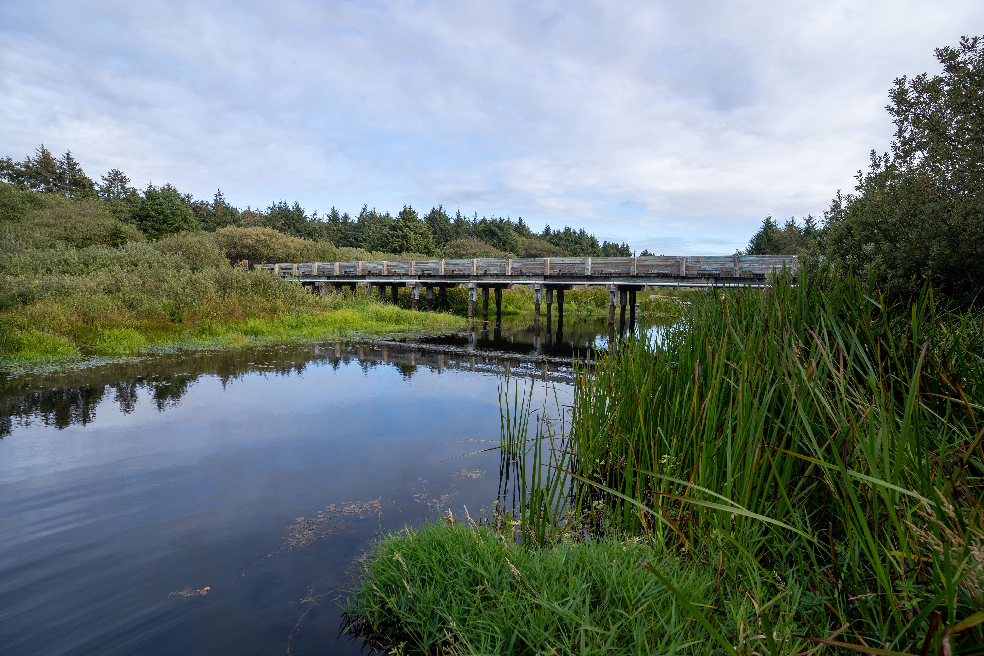 A bridge over a calm body of water with surrounding greenery.