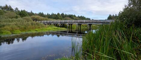 A bridge over a calm body of water with surrounding greenery.