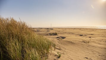 Une plage de sable avec une végétation clairsemée et un ciel dégagé.