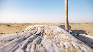 Un poste de madera en un paisaje arenoso.