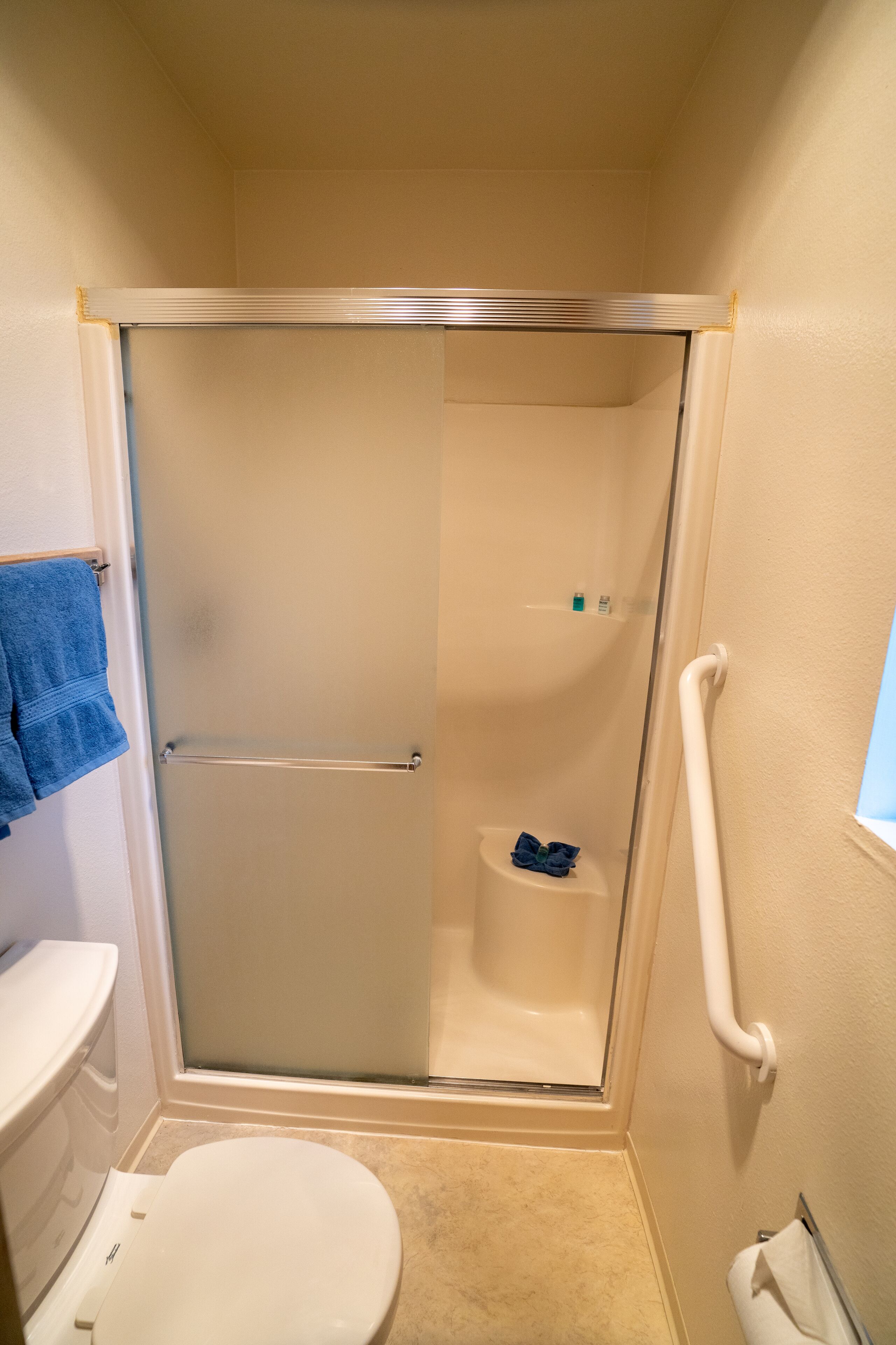 Een kleine, afgesloten douchecel met een glazen deur, een toilet en een handdoekhouder.