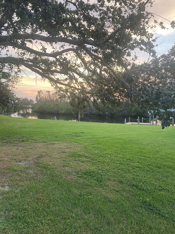 A grassy park area with trees and a clear sky.