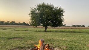 A fire pit with logs, a metal chair, and a tree in a grassy field.