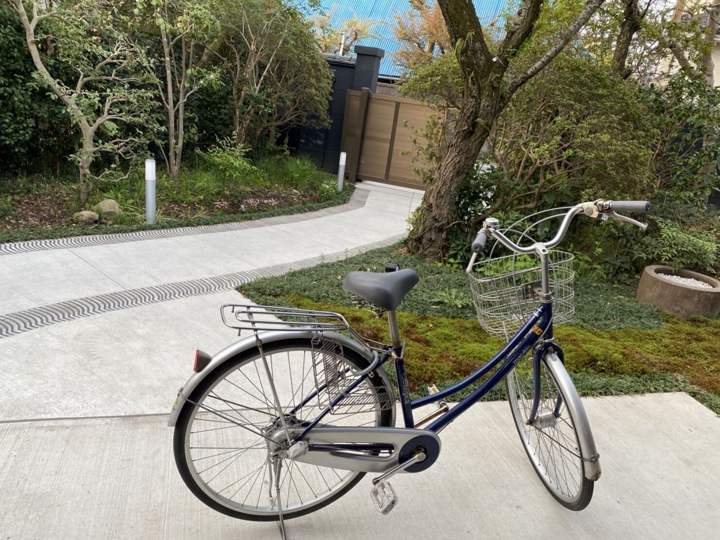 A stationary bicycle with a basket and a seat, parked on a concrete path surrounded by greenery and trees.