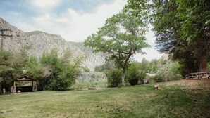 Uma área externa gramada com um gazebo de madeira, uma mesa de piquenique e uma grande árvore.