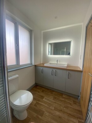 Appartamento Premium, bagno in camera | Bagno