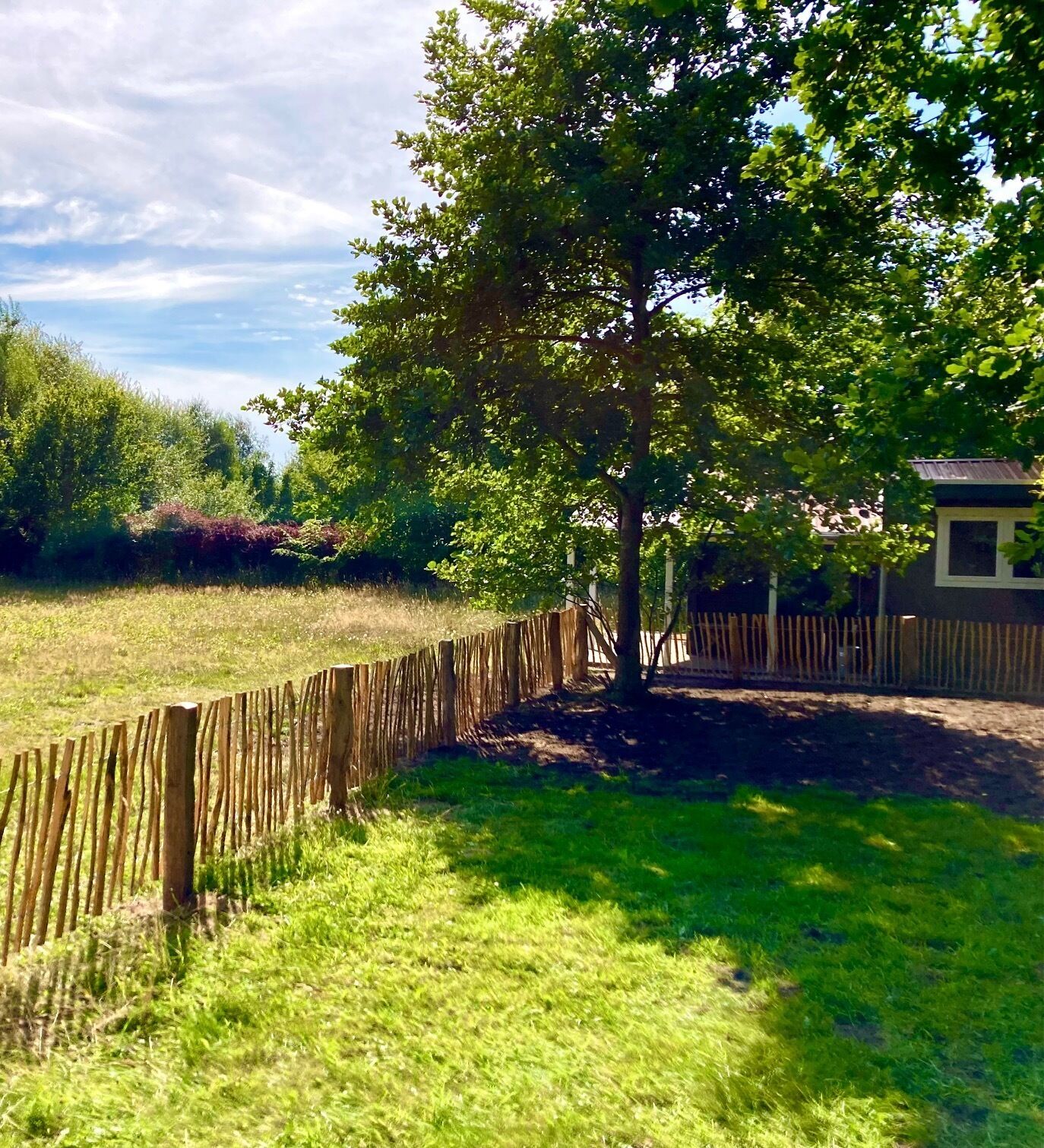A fenced yard with a large tree and a small building in the background.