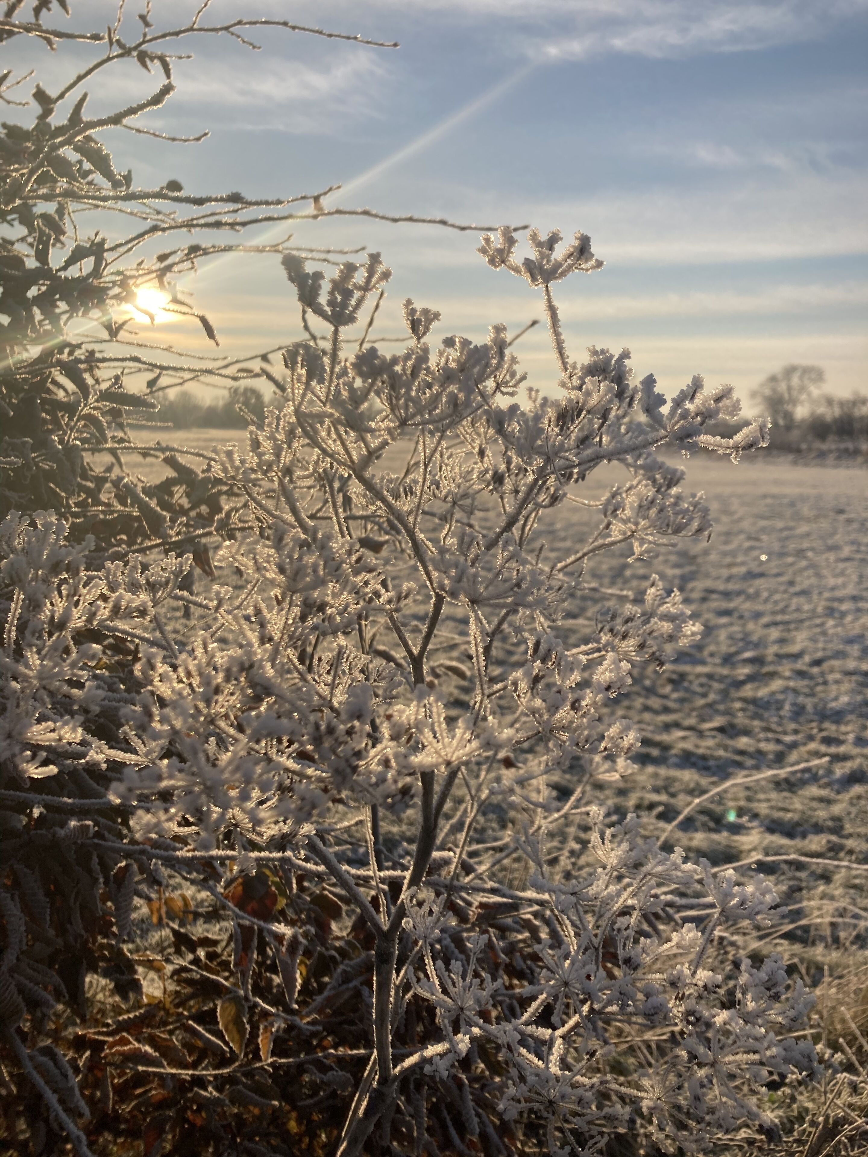 Un paysage hivernal avec un ciel dégagé et ensoleillé.